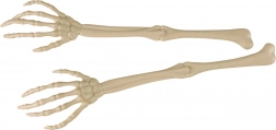 Decoratie skelet hand 2 stuks