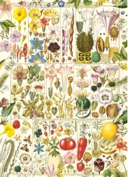 Puzzel Botanische zaligheid 1000 stukjes