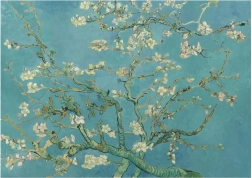 Puzzle Almond Blossom XL 700 pieces ANATOLIAN