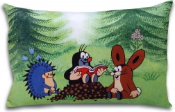 Kussen Mol Lezer 45x30