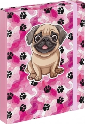 Mappen voor schoolschriftjes A5 - Pootafdrukken