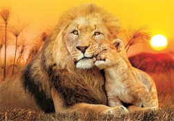 Puzzel Clementoni Onverwachte omhelzing 180 stukjes