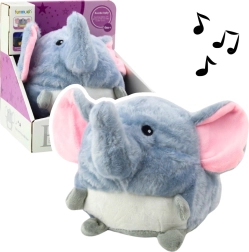 Calm Elephant Set with Music and Light