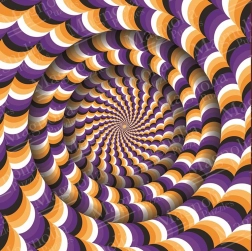 Puzzle illusion d’optique 1023 pièces MAGNOLIA