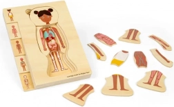 Bigjigs Toys houten anatomiepuzzel – meisje