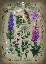 Poisonous Plants Puzzle 1000 pieces