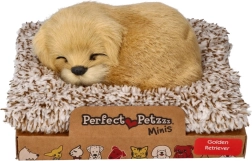 Barking Golden Retriever on a Bed