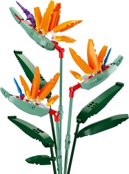 Sluban Flowers Strelitzia Royale