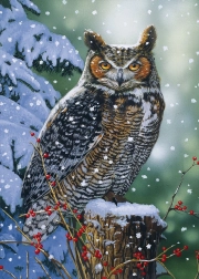 Puzzle Silent Observer 500 pieces ALIPSON