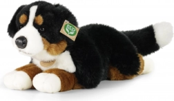 pluchen berner sennenhond liggend 44 cm eco-friendly