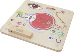 Masterkidz Educational Board Sight Montessori