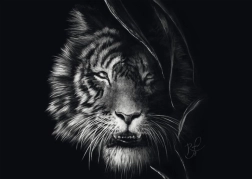 Schmidt Puzzle Wildness of the Tiger – Embodiment of Freedom 1000 pieces