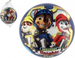Paw Patrol Ball 23 cm Blue in Net