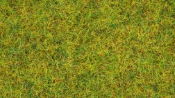 Static gras Zomerse Weide 2,5 mm