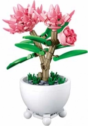 Sluban bloem in bloempot – roze pioenen