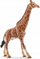 Schleich Wild Life giraffenmannetje figuur