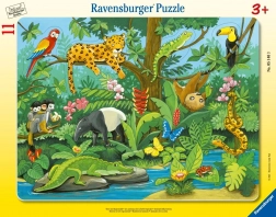 Puzzle 11 Animals of the Rainforest