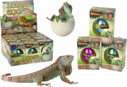 Magisch uitkomend ei – groeiende hagedis 6 cm