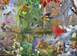 Cobble Hill Puzzle Birds Through the Seasons 1000 Pieces