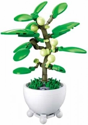 Sluban tropische plant in bloempot