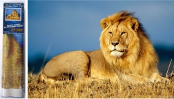 Diamantschilderij Leeuw Majesteit 30x40 cm