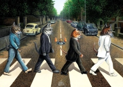 Puzzle Tabby Road 1000 pieces