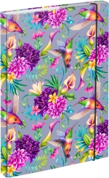 Mappen voor schoolschriften A4 Kolibrie BAAGL