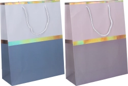 Cadeautas groot 31x41x12 cm het hele jaar