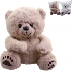 Plush Teddy Bear 28 cm
