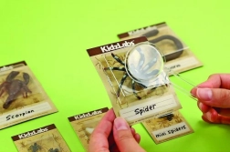 Educatieve opgravingsset – insectjes