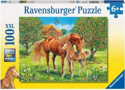 Puzzel Paarden in de Weide XXL