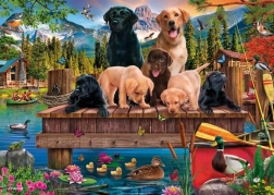 Puzzle Famille de chiens au bord du lac 1000 pièces SCHMIDT