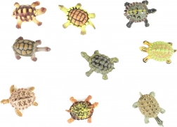 Lot de 9 tortues en plastique