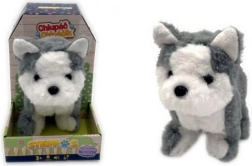 plush Husky puppy with batteries, walks and barks