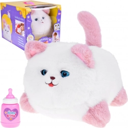 Interactieve kat Pusia