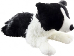 Pluchen border collie hond 70 cm