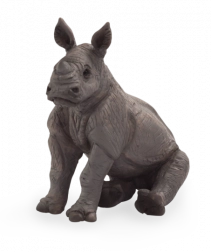 Mojo Nashornjunges sitzend