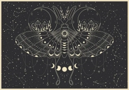 Puzzle Galaxy: Moon Butterfly 500 Pieces