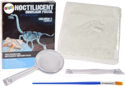 Kit archéologique fouilles dinosaure squelette 3D Brachiosaurus