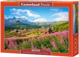 Puzzle 1000 pieces Hala Gąsienicowa, Tatra Mountains, Poland