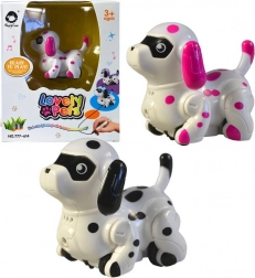 Hondje rijdt over getekende lijn