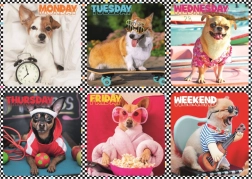 Puzzel 200 stukjes – vrolijke honden – Trefl