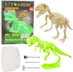 Archeologieset – lichtgevende dinosaurus-skelet met gereedschap