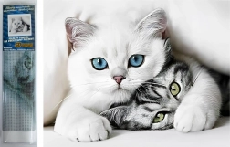 Diamond painting Kattengeheim 30 × 40 cm Norimpex