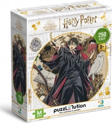 Puzzel DODO Harry Potter: Jonge tovenaar 250 stukjes