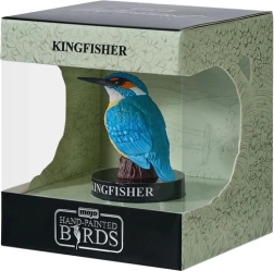 Mojo common kingfisher in gift box