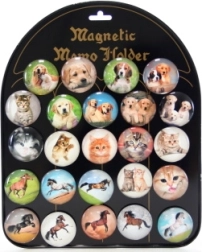 Set of 24 Magnets with Dogs, Cats, and Horses