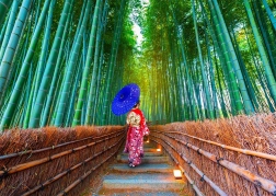 ENJOY Puzzle Asian Woman in a Bamboo Forest 1000 Pieces