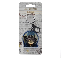 3D Sleutelhanger Harry Potter