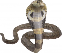 Metalen 3D-puzzel COBRA – bouwpakket METAL EARTH